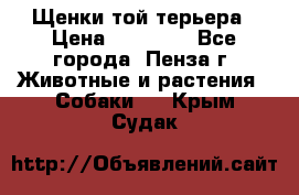 Щенки той терьера › Цена ­ 10 000 - Все города, Пенза г. Животные и растения » Собаки   . Крым,Судак